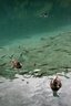gal/cro 08/_thb_small-IMG_5600.JPG